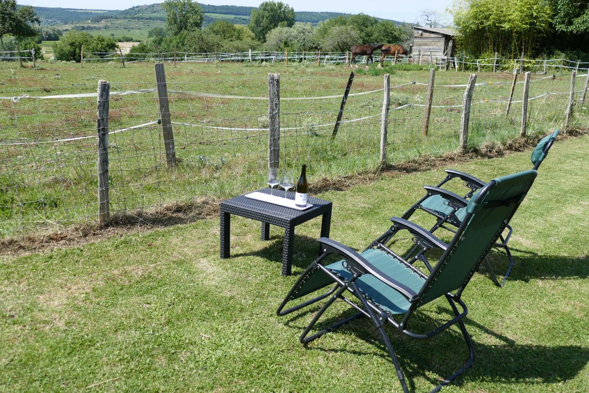 Les Grands Crus - Gite "Meursault" Corpeau Exteriér fotografie